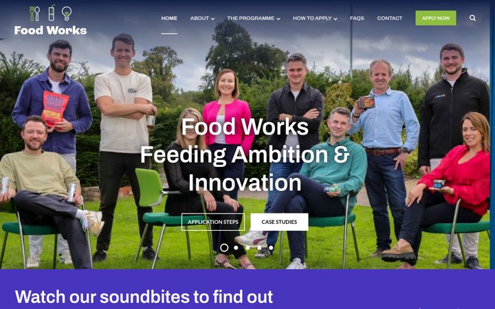 Screenshot of foodworksireland.ie