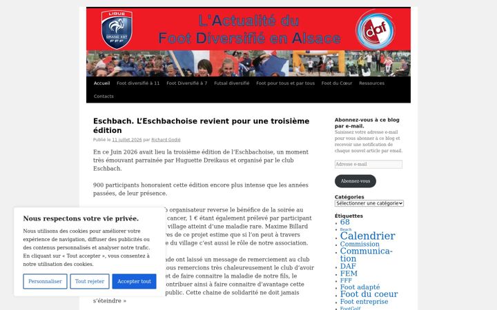 Screenshot of footdiversifielafa.fr