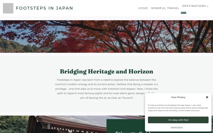 Screenshot of footstepsinjapan.com