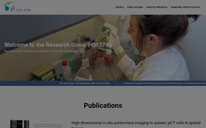 Screenshot of for2799.de