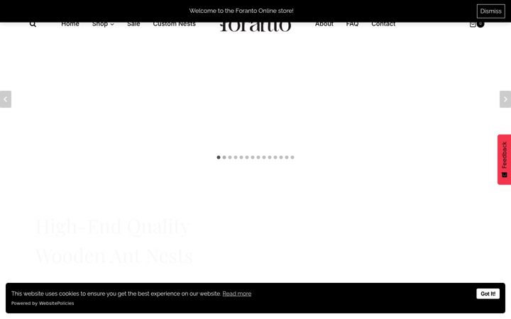 Screenshot of foranto.eu