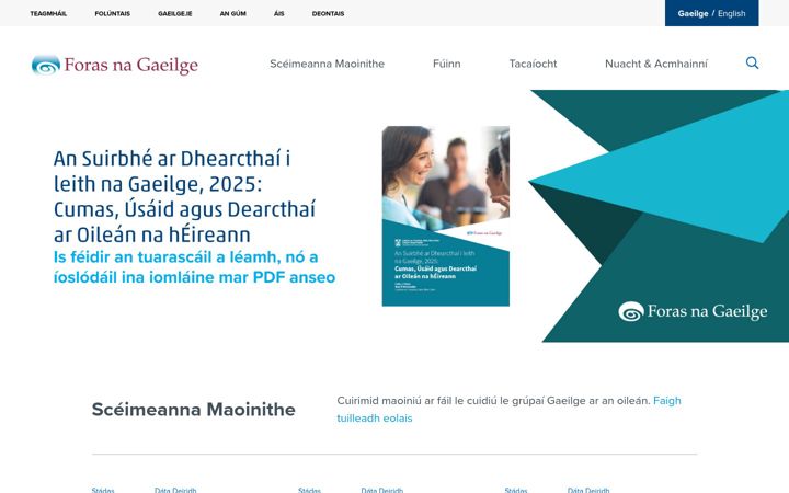 Screenshot of forasnagaeilge.ie