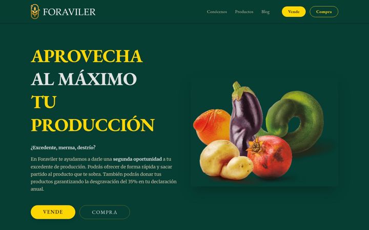 Screenshot of foraviler.com