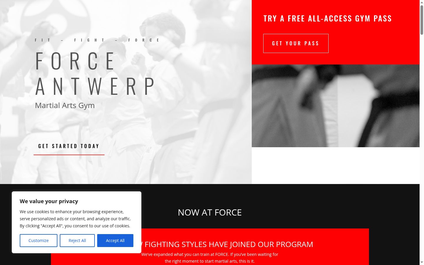 Screenshot of the consent banner shown before any interaction