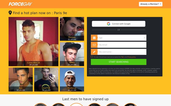 Screenshot of forcegay.fr