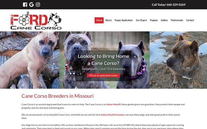 Screenshot of ford45canecorsos.com