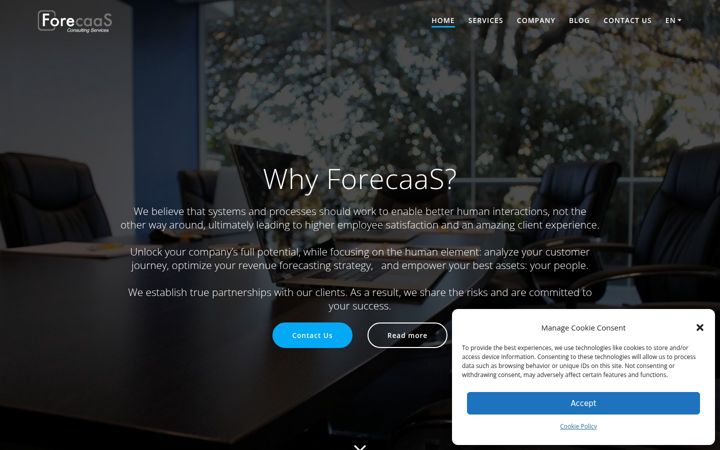 Screenshot of forecaasconsulting.com