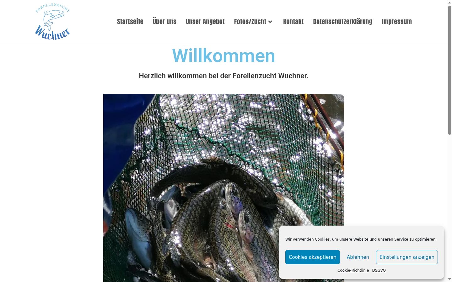 Screenshot des Einwilligungsbanners vor jeglicher Interaktion