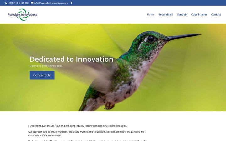 Screenshot of foresight-innovations.com