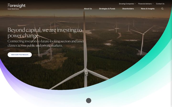 Screenshot of foresightgroup.eu