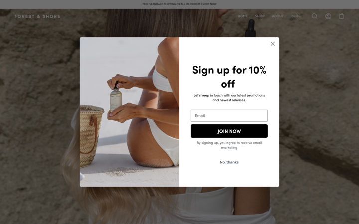 Screenshot of forestandshore.co.uk
