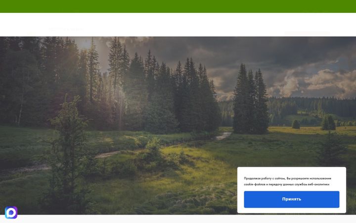 Screenshot of forestclimat.ru