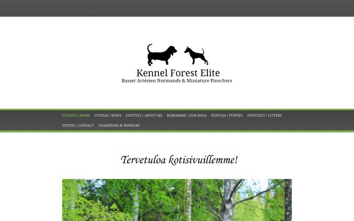 Screenshot of forestelite.fi
