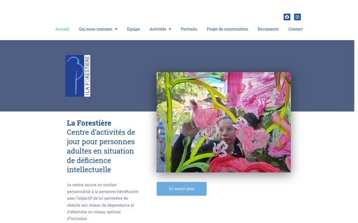 Screenshot of forestiere.be
