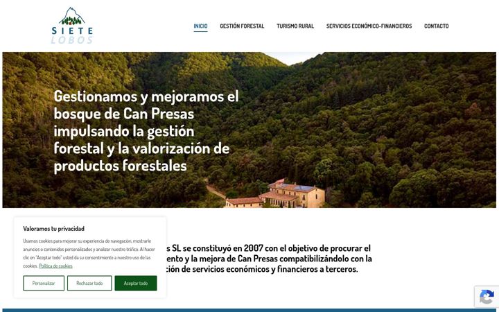 Screenshot of forestval.com