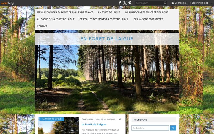 Screenshot of foret-de-laigue.fr