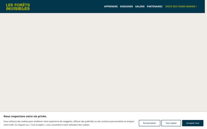Screenshot of foretsinvisibles.com