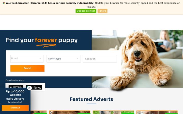 foreverpuppy.co.uk