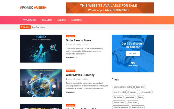 Screenshot of forexmuseum.com