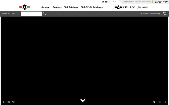 Screenshot of forfittings.it