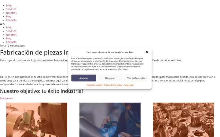 Screenshot of forja12.com