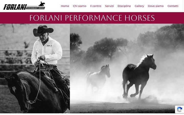 Screenshot του forlaniperformancehorses.it