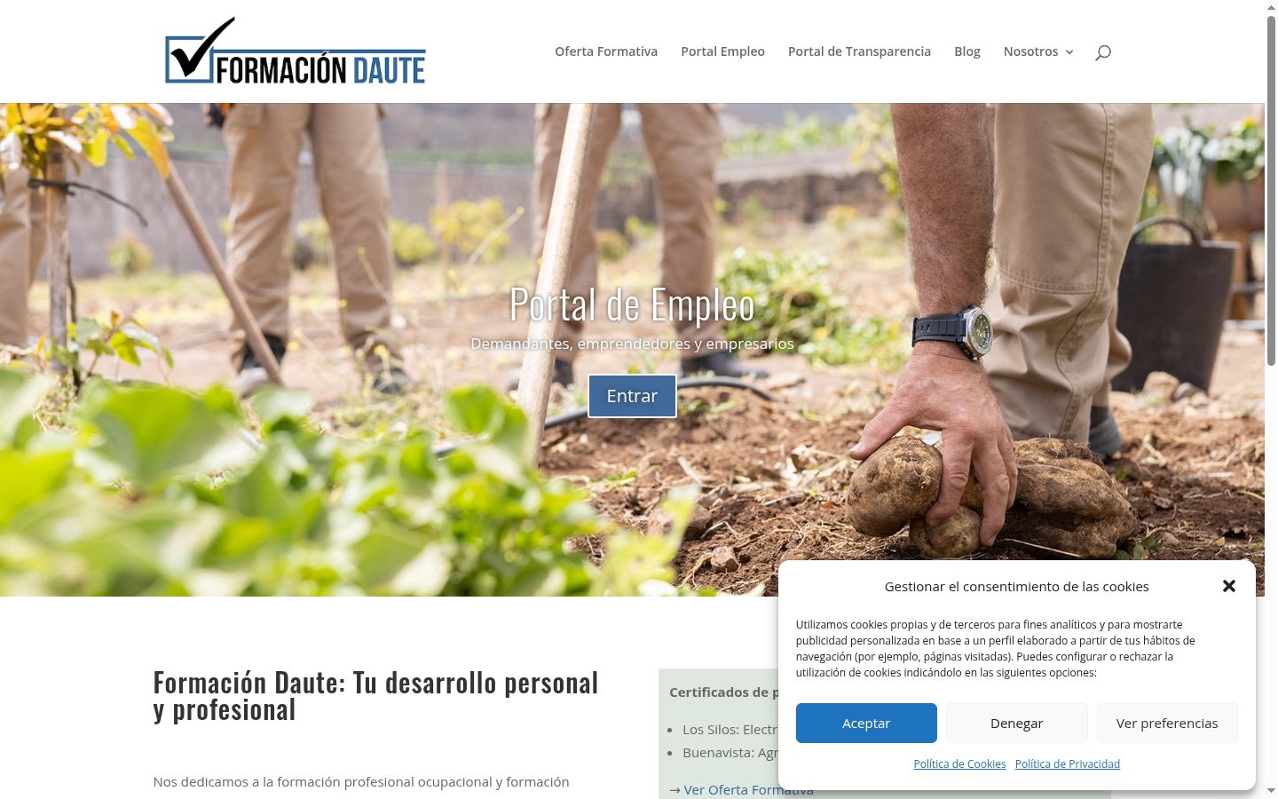 Screenshot of the consent banner shown before any interaction