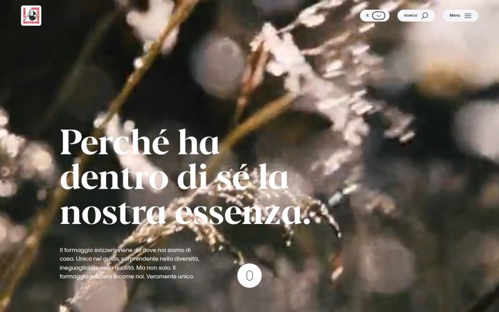 Screenshot of formaggiosvizzero.ch