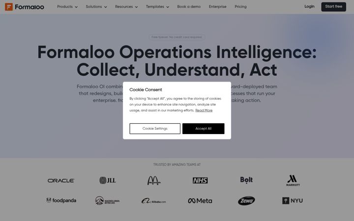 Screenshot of formaloo.com