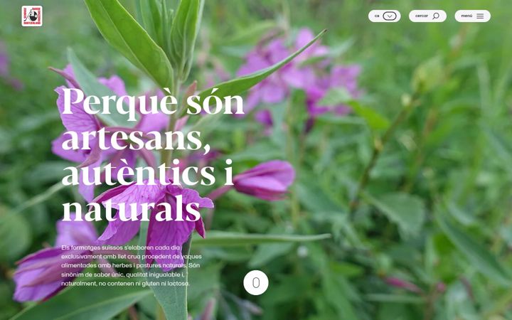 Screenshot of formatgedesuissa.com