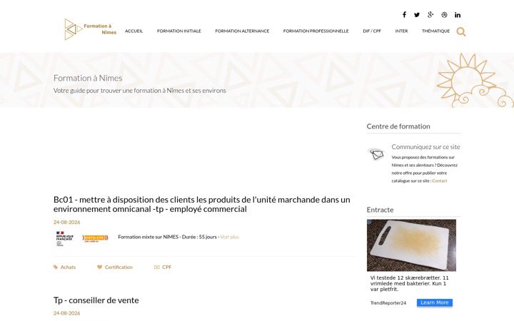 Screenshot of formation-nimes.org