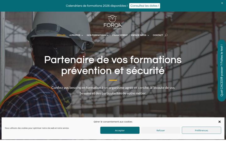 Screenshot of forqa-groupe.com