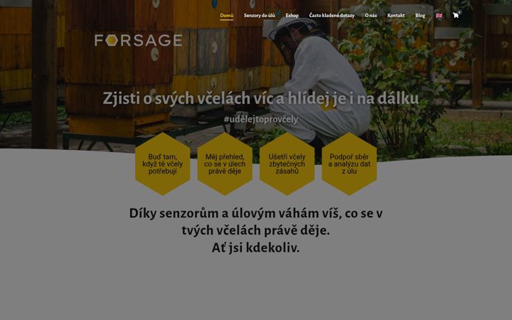 Snímek obrazovky forsage.net