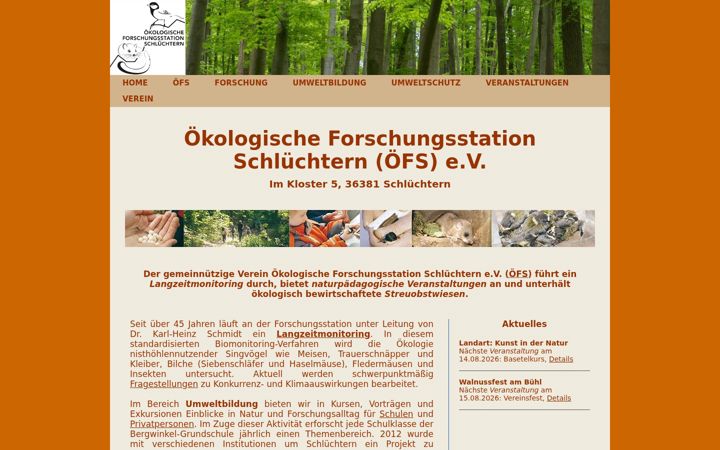 Screenshot of forschung-oefs.de