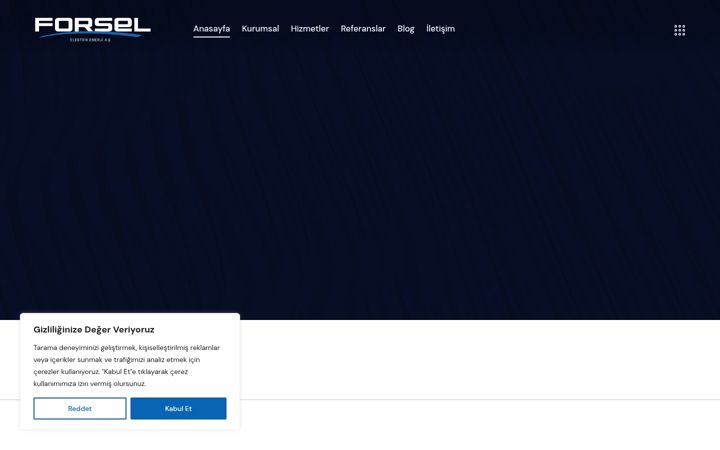 Captură de ecran a forsel.com.tr
