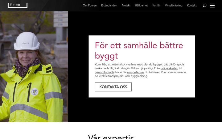 Screenshot of forsen.com