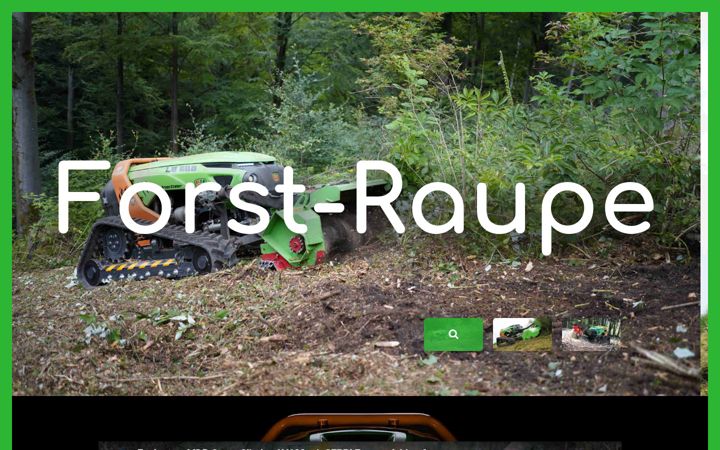 Screenshot of forst-raupe.de