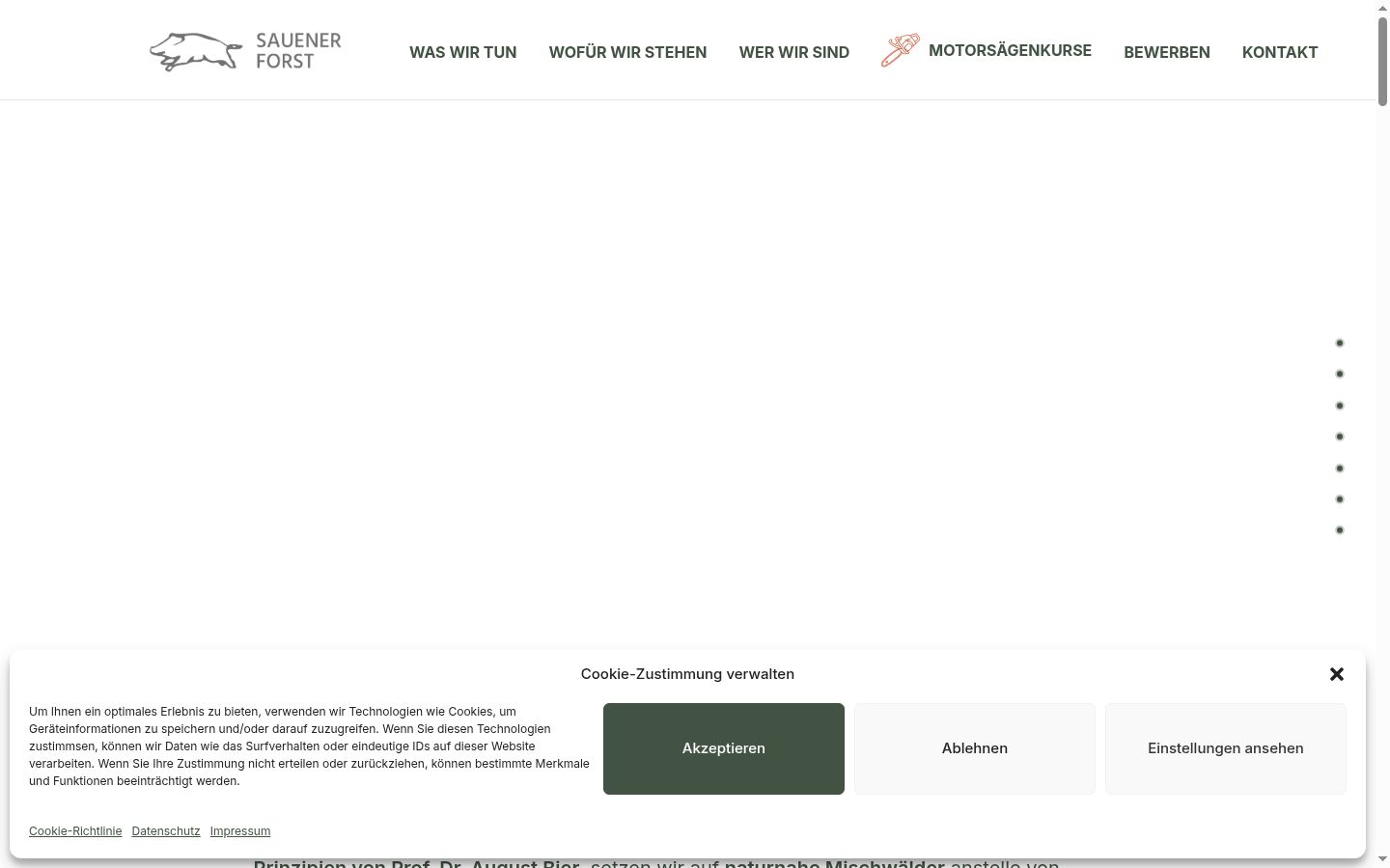 Captura de ecrã do banner de consentimento apresentado antes de qualquer interação