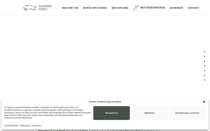 Screenshot of forst-sauen.de