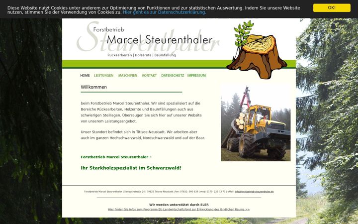 Screenshot of forstbetrieb-steurenthaler.de
