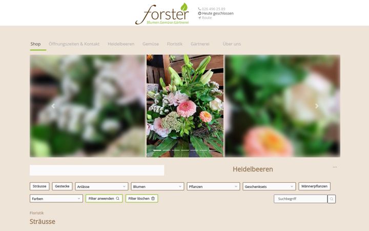 Screenshot of forster-blumen.ch