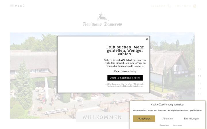 Screenshot of forsthaus-damerow.de