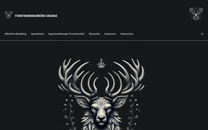 Screenshot ta' forstingenieur-grudke.de