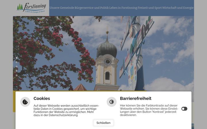 Screenshot ta' forstinning.de
