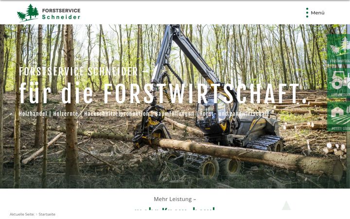 Screenshot ta' forstservice-schneider.de