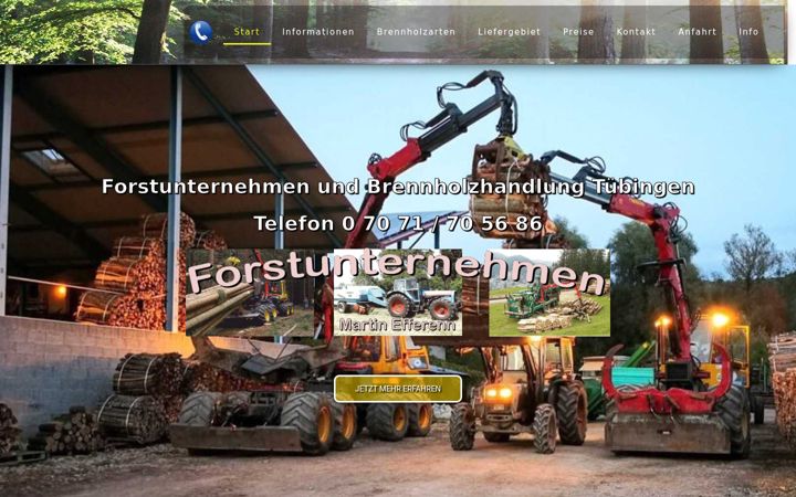 Screenshot of forstunternehmen-martin-efferenn.de