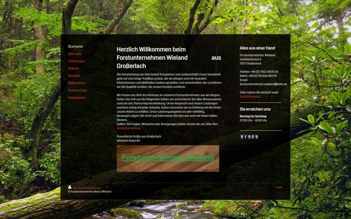 Screenshot of forstunternehmen-wieland.de