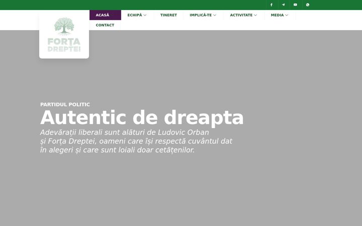 Screenshot of forta-dreptei.ro