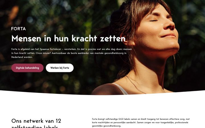 Screenshot of forta.nl