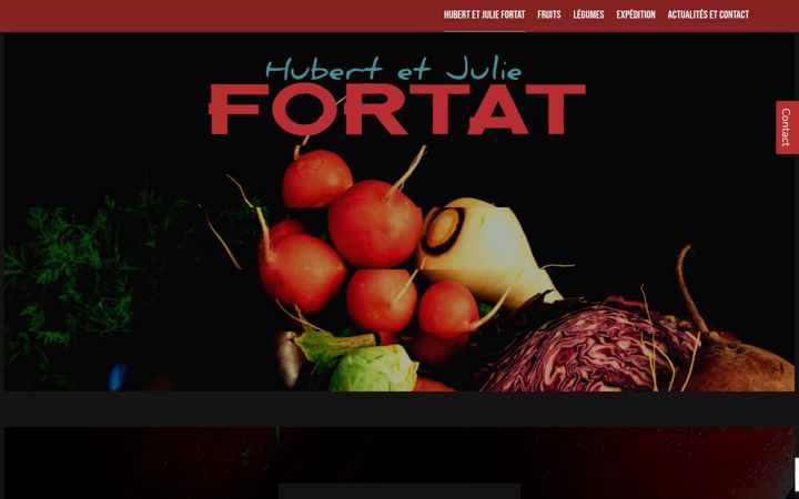 Screenshot of fortat-expediteur-provence.fr